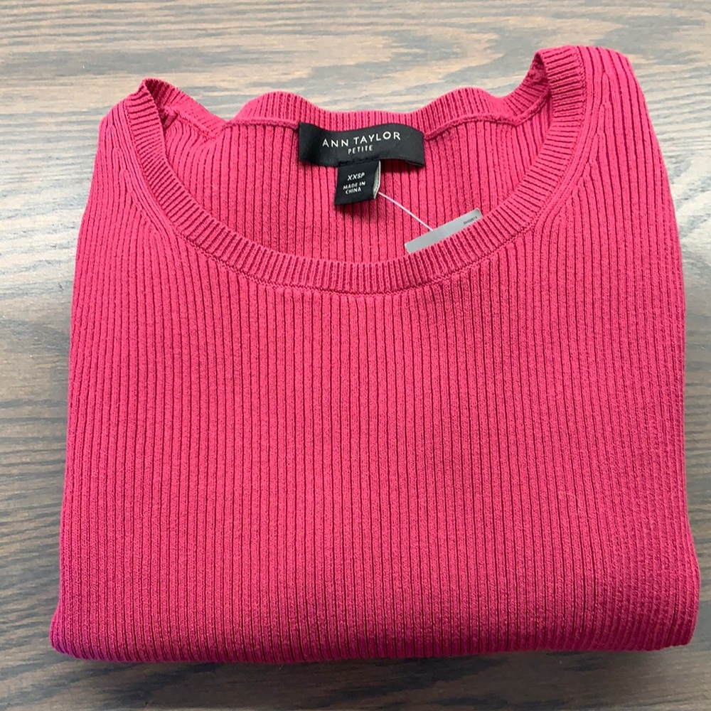Ann Taylor  long sleeve crew neck sz PXXS NWT